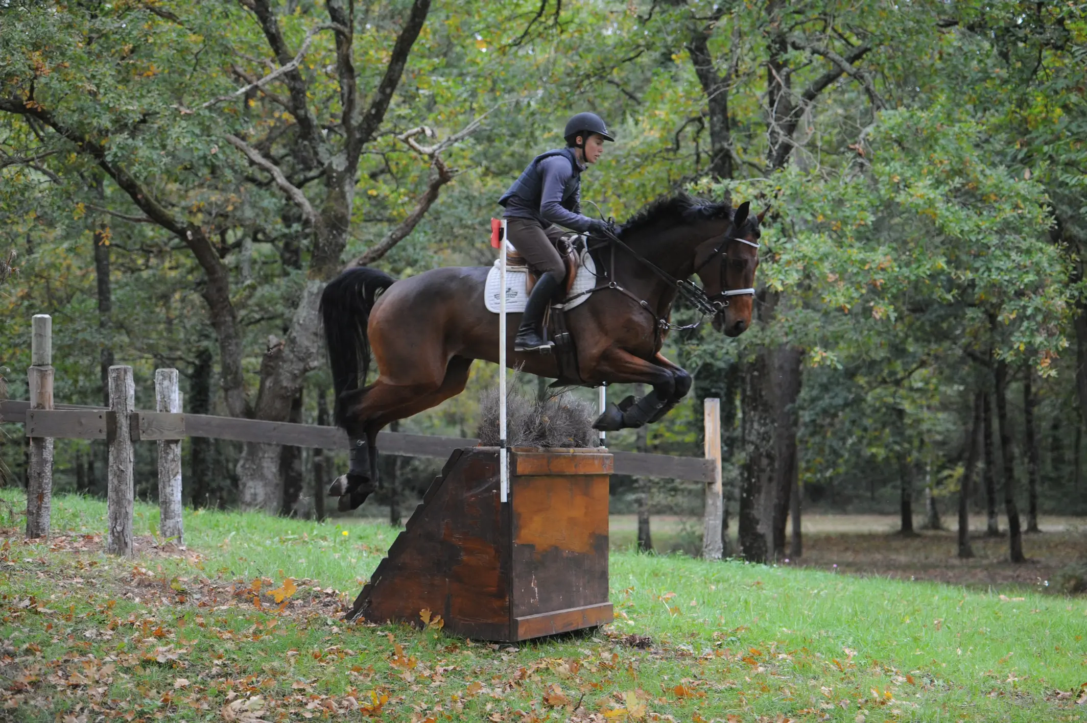 BPJEPS Educateur sportif mention EQUITATION, se former à la MFR de Thiviers