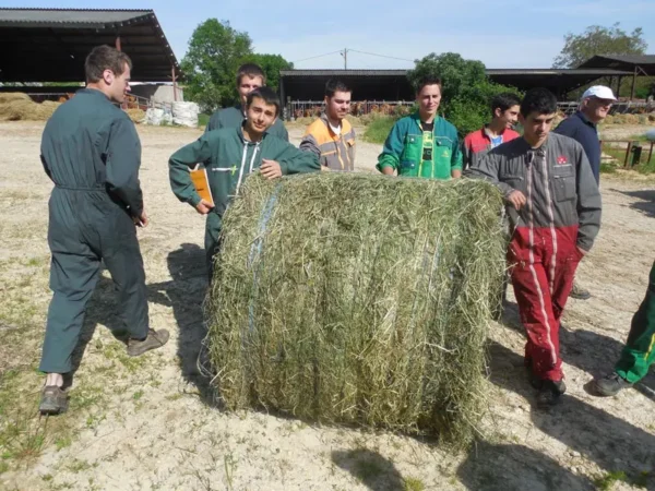 MFR de Thiviers, Formations aux métiers agricoles