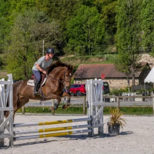 Bac Pro CGEH À LA MFR de Thiviers