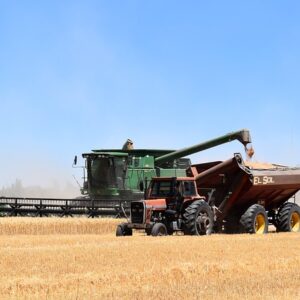 combine harvester, tractor, hopper, harvest, wheat, cereal, farming, combine harvester, tractor, tractor, tractor, tractor, tractor