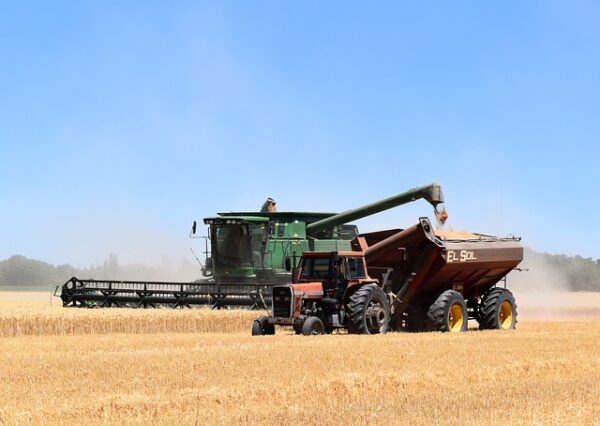 combine harvester, tractor, hopper, harvest, wheat, cereal, farming, combine harvester, tractor, tractor, tractor, tractor, tractor