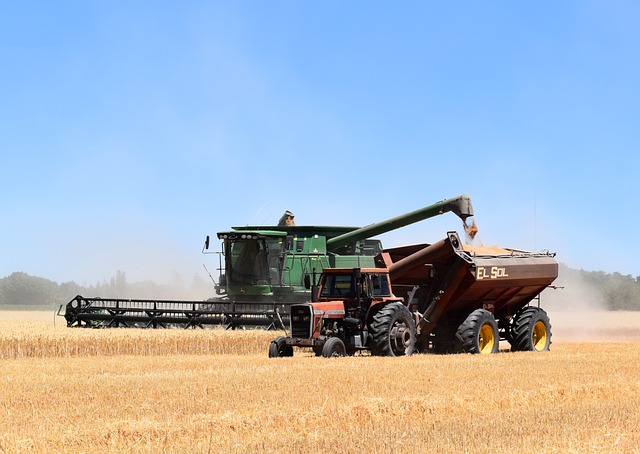 combine harvester, tractor, hopper, harvest, wheat, cereal, farming, combine harvester, tractor, tractor, tractor, tractor, tractor